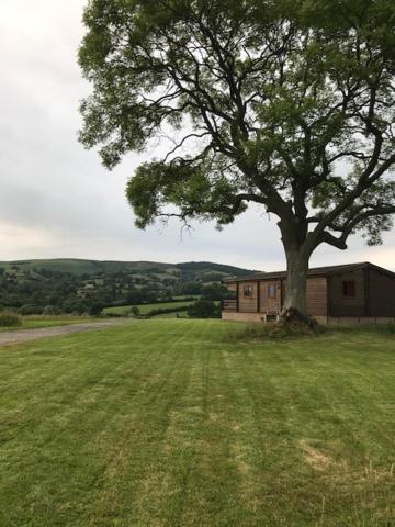 Redwood Lodge Ludlow Zewnętrze zdjęcie